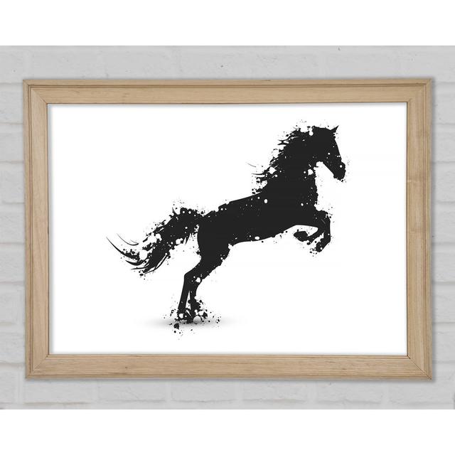 Stallion Horse Splendor - Single Picture Frame Art Prints Bright Star Size: 29.7cm H x 42cm W x 1.5cm D on Productcaster.