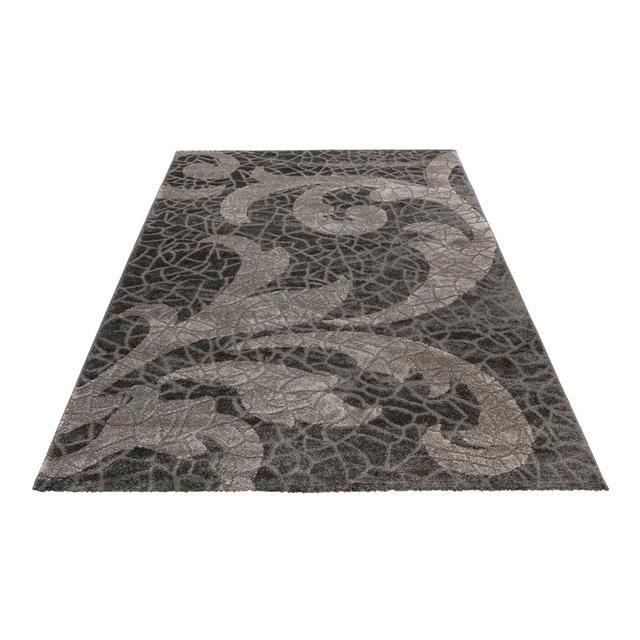 Frisco Floral Machine Woven Charcoal Area Rug Obsession Rug Size: Rectangular 200 x 290cm on Productcaster.