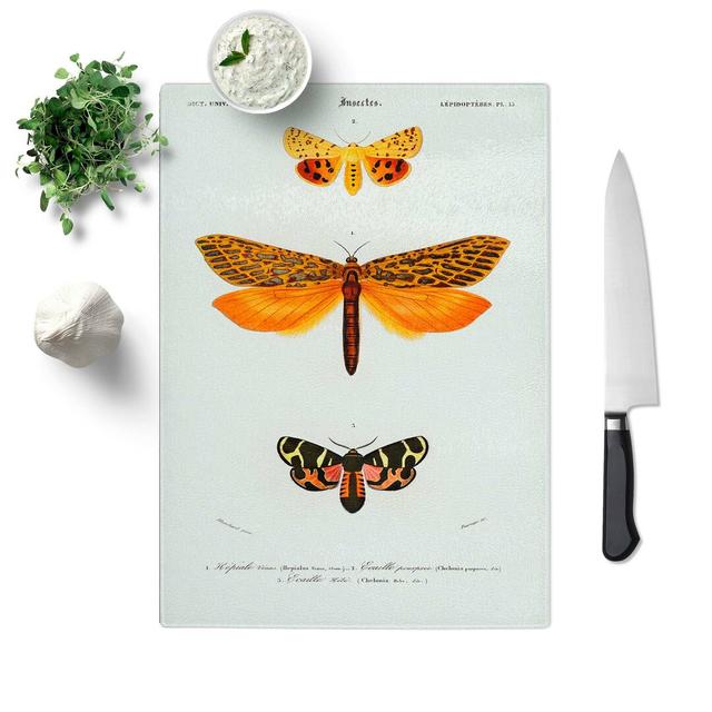 Glass Moth Illustrations Pl.5 by Charles D' Orbigny Chopping Board East Urban Home Size: 28.5 cm W x 20 cm L on Productcaster.