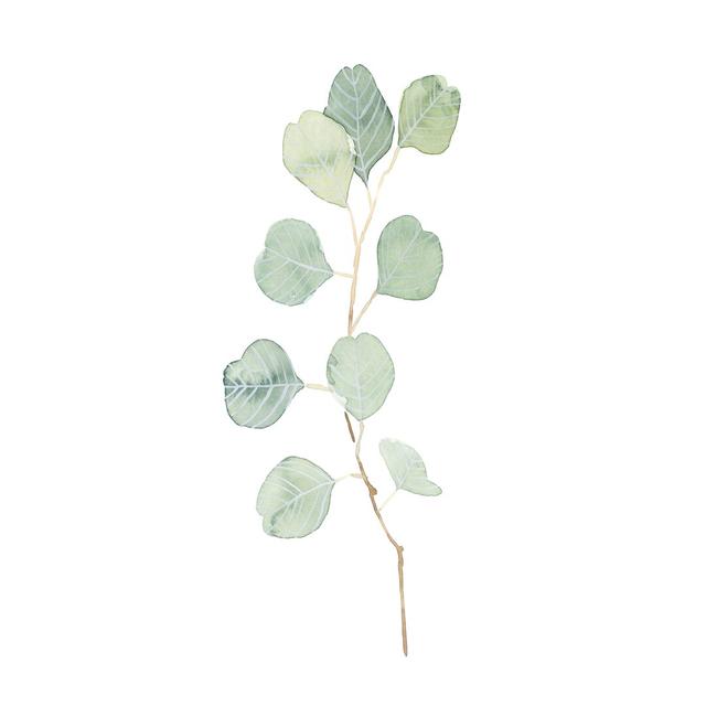 Soft Eucalyptus Branch IV by Emma Scarvey - Wrapped Canvas Painting August Grove Size: 122cm H x 81cm W on Productcaster.