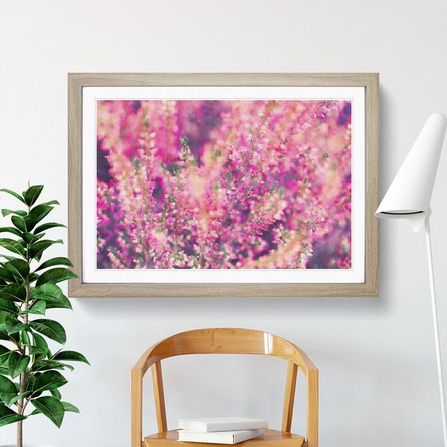 Pink Heather - Picture Frame Graphic Art East Urban Home Size: 27cm H x 36cm W x 2cm D, Frame Option: Oak Framed on Productcaster.