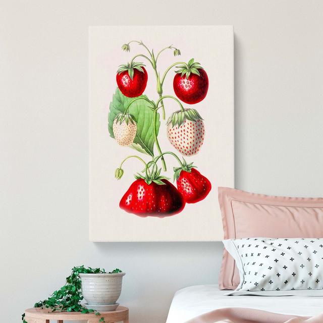 An Illustration Of Strawberries - Wrapped Canvas Painting East Urban Home Size: 60cm H x 40cm W x 3cm D on Productcaster.