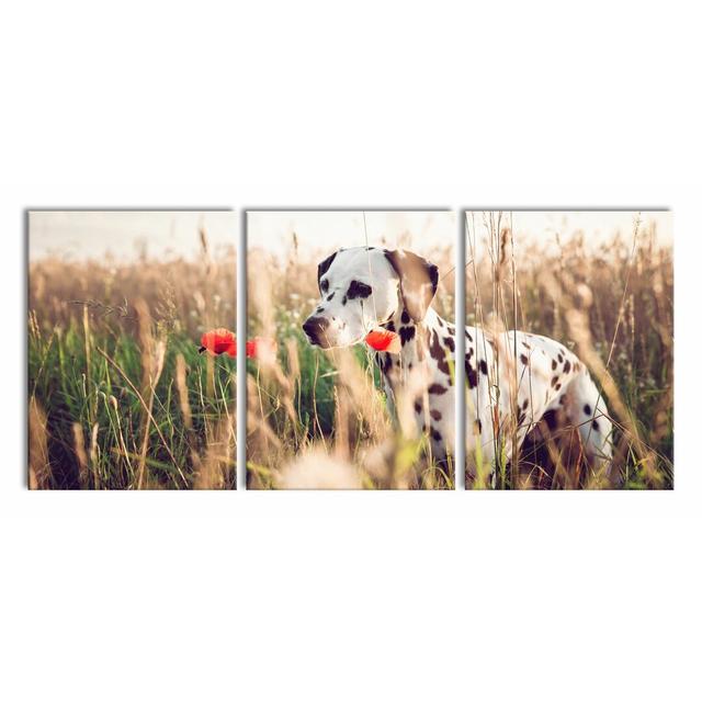 Neugieriger Hund Im Feld - 3 Piece Wrapped Canvas Print East Urban Home Size: 180 cm H x 80cm W x 2.4 cm D on Productcaster.