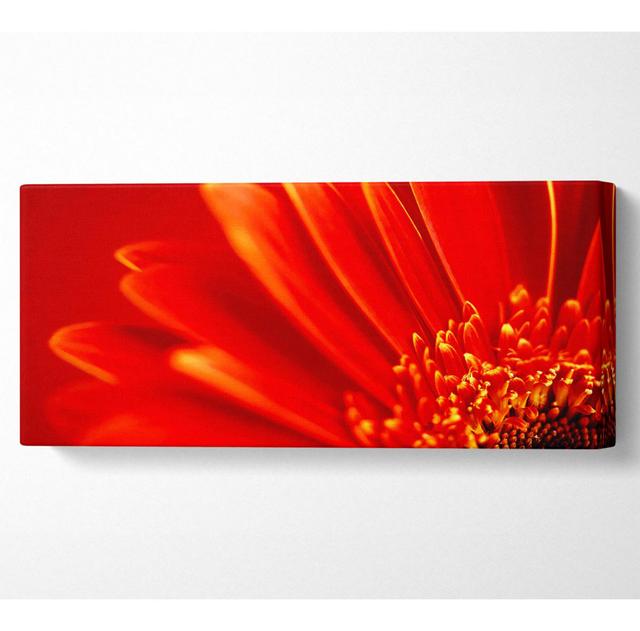 Orange auf orangefarbenen Gerbera-Blütenblättern - Kunstdrucke auf Leinwand Ebern Designs Größe: 71cm H x 162,5cm B x 10cm T on Productcaster.