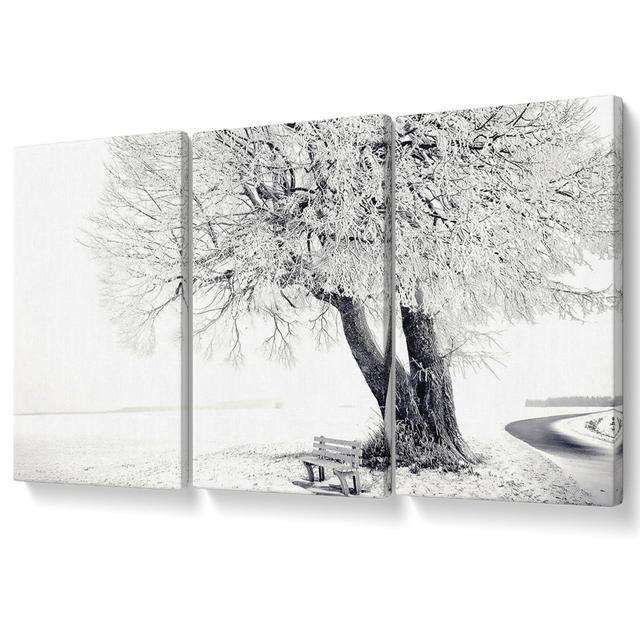 Bench under Tree Winter - 3 Piece Wrapped Canvas Graphic Art Rosalind Wheeler Size: 101.6cm H x 203cm W on Productcaster.