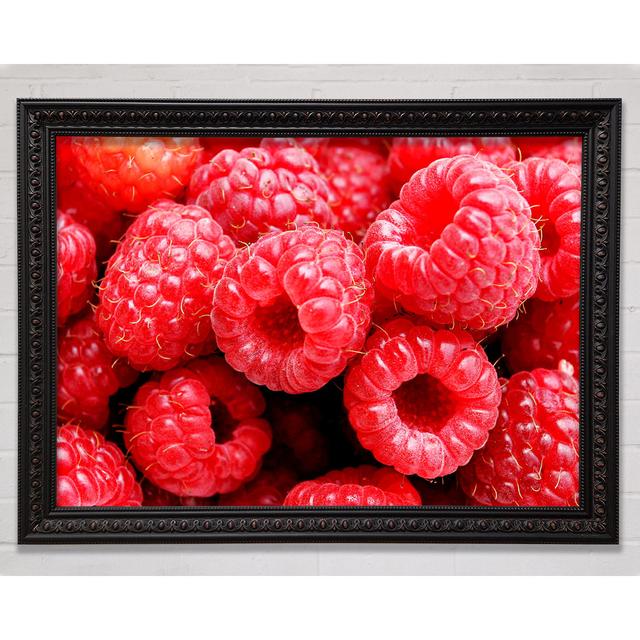 Raspberry Delight Framed Print Bright Star Size: 100cm H x 141.4cm W x 3cm D on Productcaster.