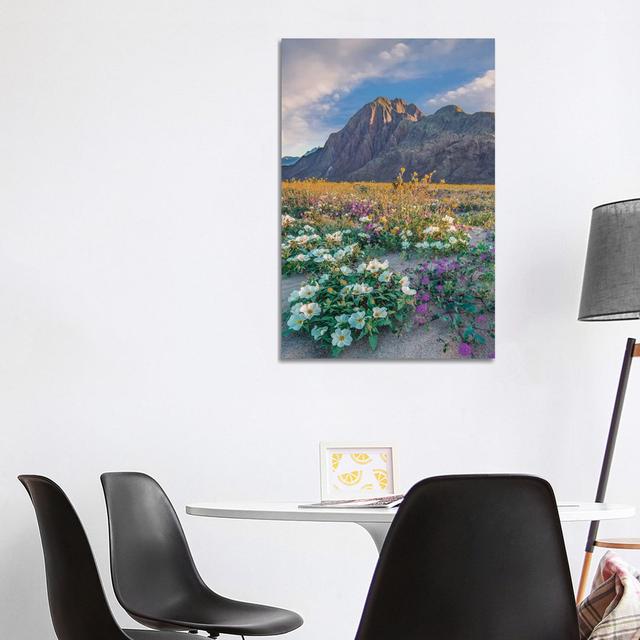 Desert Sand Verbena, Desert Sunflower And Desert Lily Spring Bloom Anza-Borrego Desert State Park CA by Tim Fitzharris - Gallery-Wrapped Canvas Giclée on Productcaster.