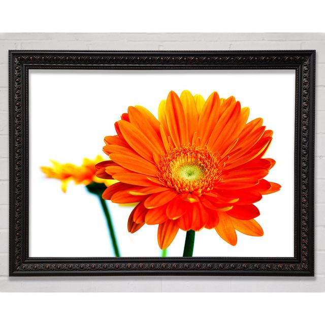 Orange Flames Framed Print Bright Star Size: 29.7cm H x 42cm W on Productcaster.