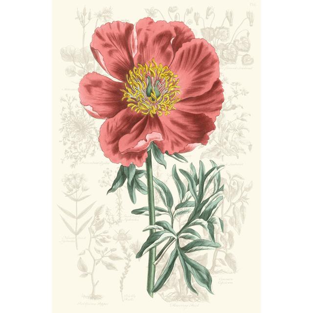 Peony Flower Garden IV - Wrapped Canvas Graphic Art Rosalind Wheeler Size: 122cm H x 81cm W x 3.8cm D on Productcaster.