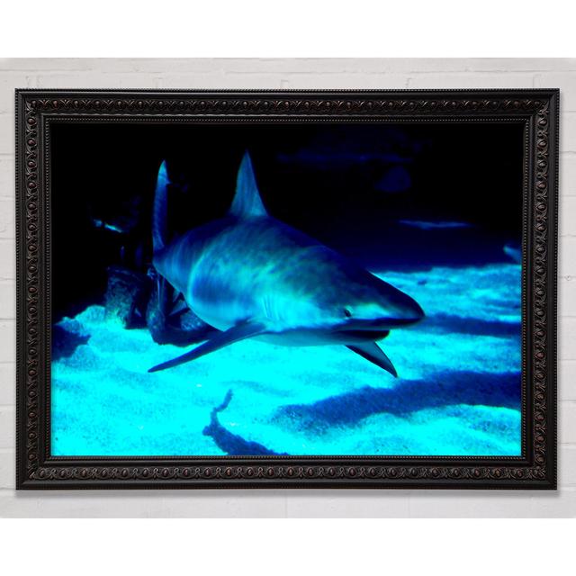 Shark Hunt - Print Bright Star Size: 42cm H x 59.7cm W on Productcaster.