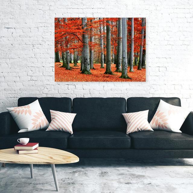 Leinwandbild Canvas Print, Orange Landscapes Union Rustic Größe: 203 cm H x 305 cm B on Productcaster.