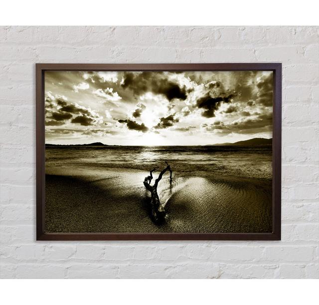 Driftwood Sepia - Single Picture Frame Art Prints on Canvas Bright Star Size: 59.7cm H x 84.1cm W on Productcaster.