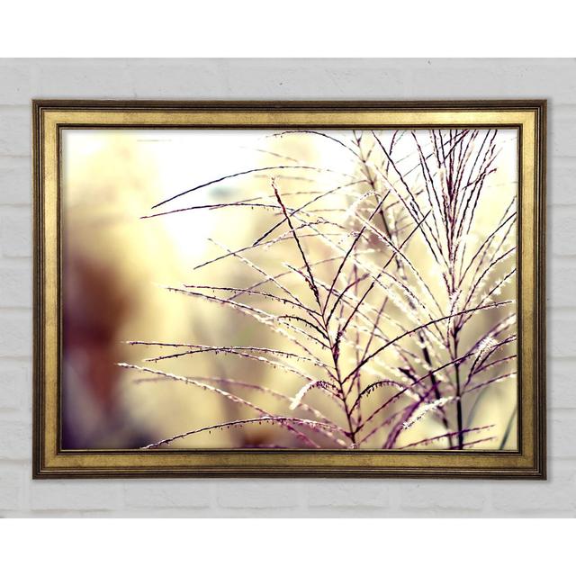 Wildflowers In The Sunlight - Print Brayden Studio Size: 29.7cm H x 42cm W x 1.5cm D on Productcaster.