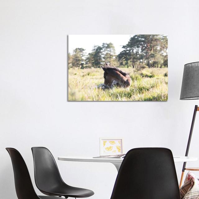 The Afternoon Nap by Andrew Lever - Wrapped Canvas Print Brayden Studio Size: 45.72cm H x 66.04cm W x 3.81cm D on Productcaster.