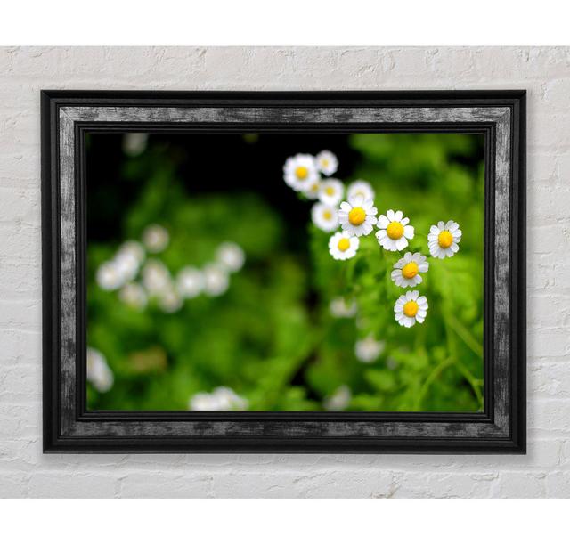 Floral Delight - Single Picture Frame Art Prints Bright Star Size: 21cm H x 42cm W x 8cm D on Productcaster.