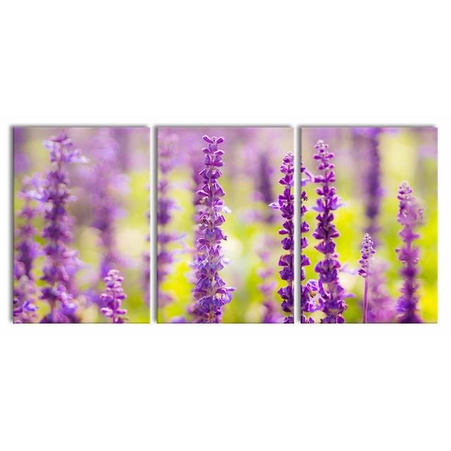 Schöne Violette Lavendelblüten - 3 Piece Wrapped Canvas Print East Urban Home Size: 100 cm H x 210 cm W on Productcaster.