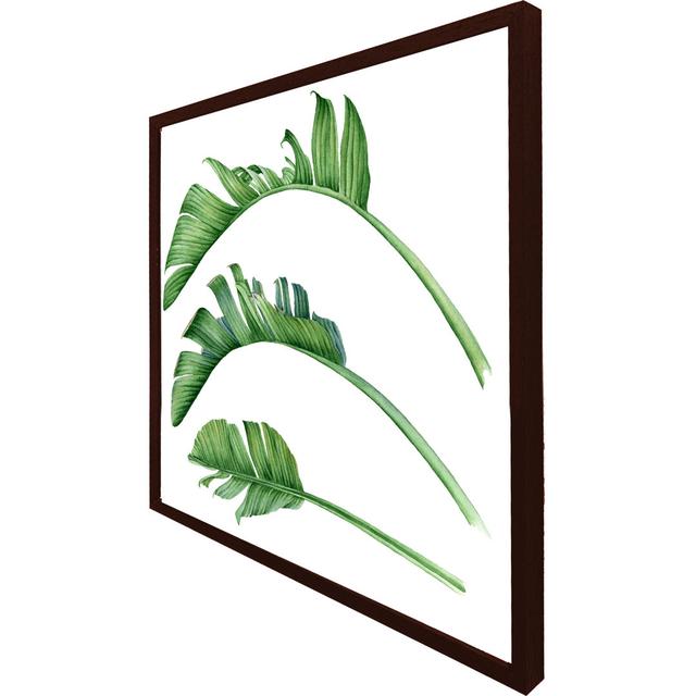 Sonderborg Triple Botanical - Single Picture Frame Print 17 Stories Size: 61cm H x 61cm W x 4cm D, Frame Colour: Brown Framed on Productcaster.