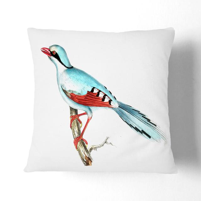 Hunting Crow by John Edward Gray Cushion with Filling East Urban Home Size: 40cm H x 40cm W x 15cm D, Backing Colour: Stone on Productcaster.