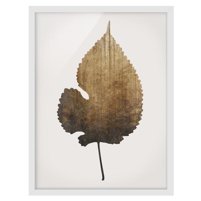 Golden Leaf - Linden - Picture Frame Graphic Art Bay Isle Home Size: 40cm H x 30cm W x 2cm D, Frame Option: White Framed on Productcaster.