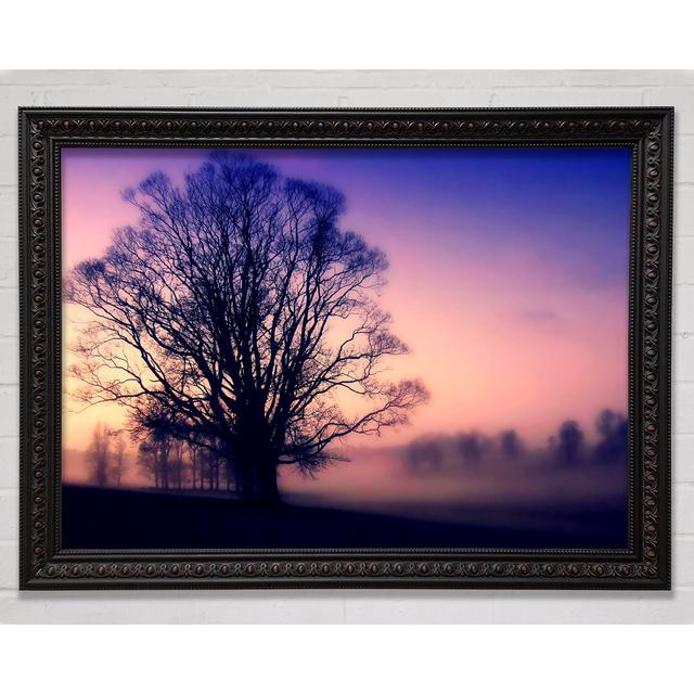 Scots Mist - Single Picture Frame Art Prints Bright Star Size: 21cm H x 29.7cm W on Productcaster.