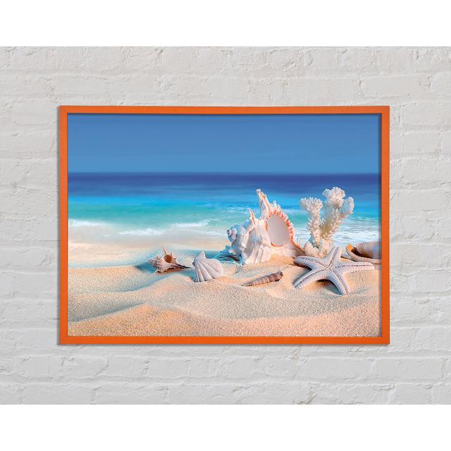 Barthold Perfect Ocean Shells - Single Picture Frame Art Prints Highland Dunes Size: 59.7cm H x 84.1cm W x 2cm D on Productcaster.