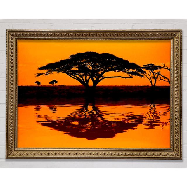 African Tree Reflection Framed Print Bright Star Size: 21cm H x 29.7cm W x 3cm D on Productcaster.