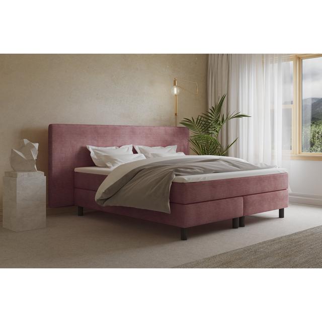 Echtes Boxspringbett Donatella mit Kaltschaum Topper, mit Cord Stoff bezogen Soft & Co. Farbe: Altrosa, Matratzenhärte: H4 - ab etwa 100 kg, Größe: 21 on Productcaster.