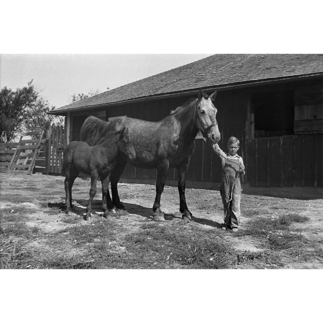 Farm Boy With Mare by NNehring - Print Brambly Cottage Size: 61cm H x 91cm W on Productcaster.