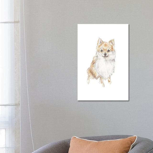 Pomeranian by Wandering Laur - Wrapped Canvas Art Prints Rosalind Wheeler Size: 66.04cm H x 45.72cm W on Productcaster.