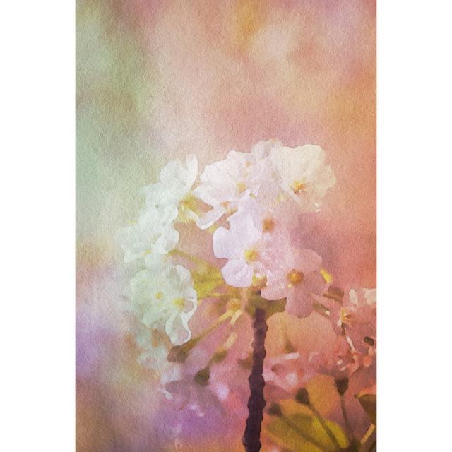 Watercolor Painted Flower Background by Dlinca - No Frame Art Prints on Canvas 17 Stories Size: 122cm H x 81cm W on Productcaster.