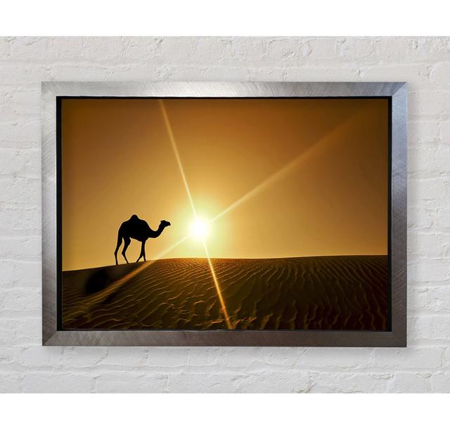 Desert Camel - Print Brayden Studio Size: 59.7cm H x 84.1cm W x 3.4cm D, Format: Silver Framed Paper on Productcaster.