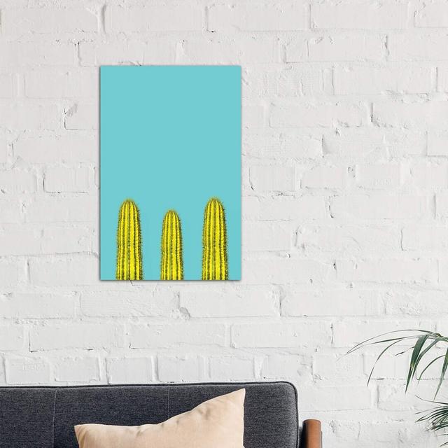 Aqua Cacti - Wrapped Canvas Print 17 Stories Size: 66.04cm H x 45.72cm W x 3.81cm D on Productcaster.