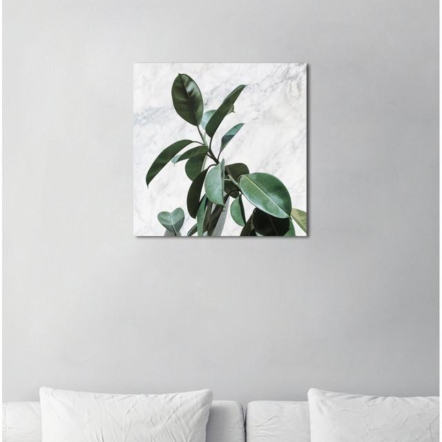 Wrapped Canvas Print Oliver Gal Size: 50.8cm H x 50.8cm W on Productcaster.