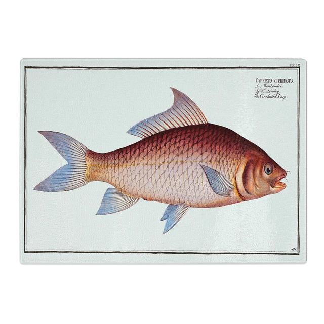 Tempered Glass Cirrhated Carp Fish by M.E. Bloch Chopping Board East Urban Home Size: 39cm W x 28.5cm L on Productcaster.