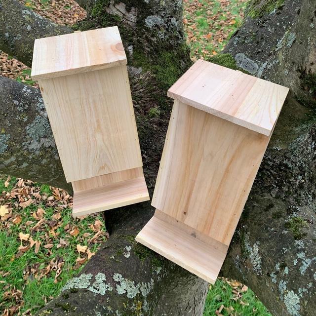 Izaguirre Mounted Bat House (Set of 2) August Grove on Productcaster.