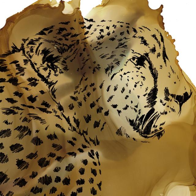 Leopard Portrait II by Jennifer Paxton Parker - Wrapped Canvas Print Canora Grey Size: 76cm H x 76cm W on Productcaster.