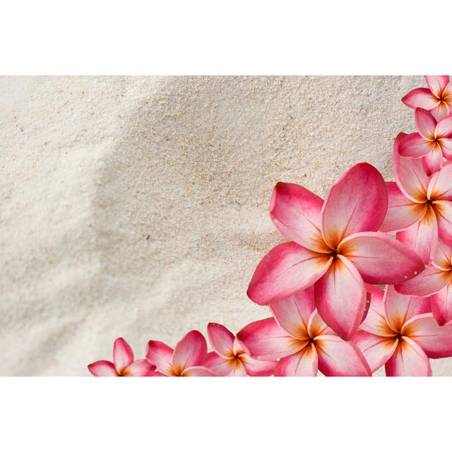 Frangipani by Naomiwoods - No Frame Art Prints on Canvas 17 Stories Size: 81cm H x 122cm W on Productcaster.