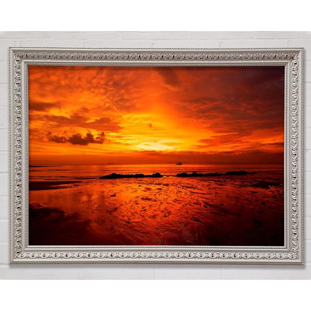 Single Picture Frame Art Prints Bright Star Size: 84.1cm H x 118.9cm W on Productcaster.