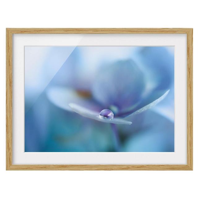 Water Drop Hydrangea Flower - Picture Frame Photograph Ebern Designs Size: 30cm H x 40cm W x 2cm D, Framed Option: Brown Framed on Productcaster.