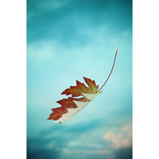 Faling Red Autumn Leaf - Wrapped Canvas Art Prints 17 Stories Size: 76cm H x 51cm W x 3.8cm D on Productcaster.