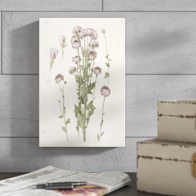 Pressed Blooms I by Grace Popp - Wrapped Canvas Print Blue Elephant Size: 30cm H x 20cm W on Productcaster.