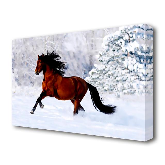 Wild Horse in the Snow Wild Life - Wrapped Canvas Painting Print East Urban Home Size: 35.6 cm H x 50.8 cm W x 4.4 cm D on Productcaster.