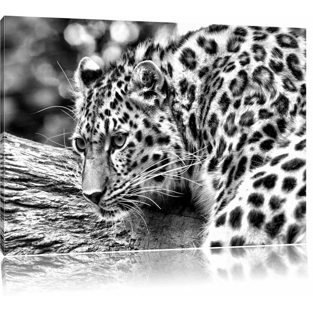 Leinwandbild Aufmerksamer Leopard auf Baumstamm in Monochrom East Urban Home Größe: 40 cm H x 60 cm B on Productcaster.