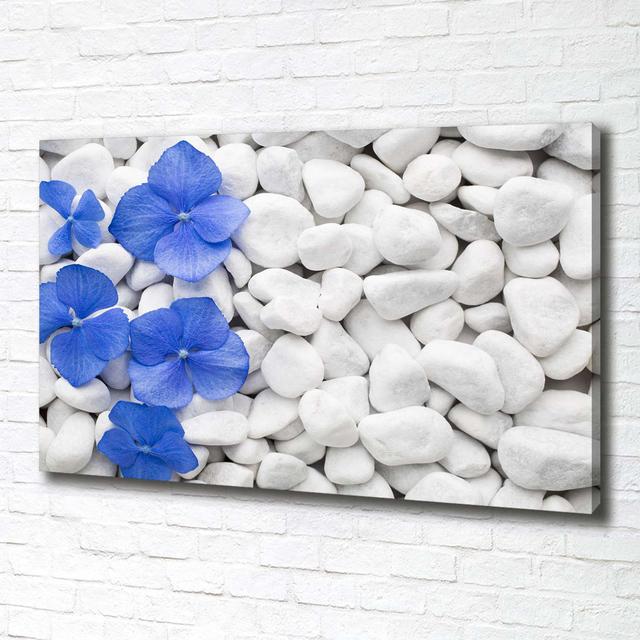 Hydrangea - Ungerahmte Kunstdrucke auf Leinwand Brayden Studio on Productcaster.