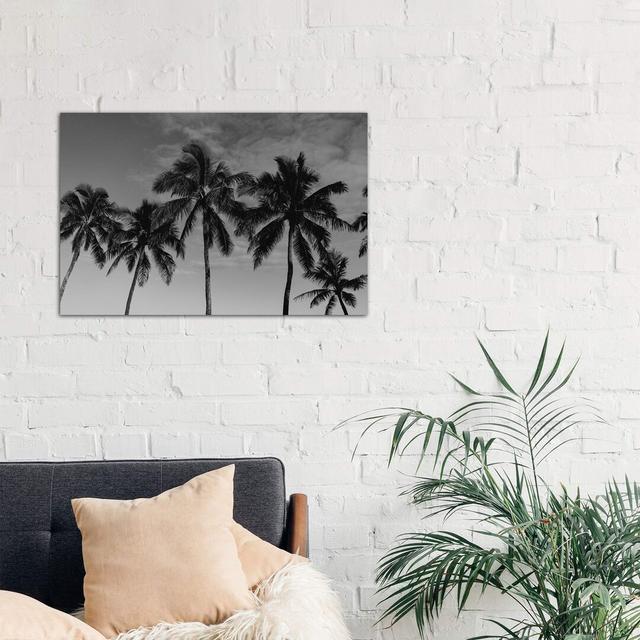 Hawaiian Palms by Bethany Young - Wrapped Canvas Photograph Print Pergo Classics Size: 66.04cm H x 101.6cm W x 1.91cm D on Productcaster.