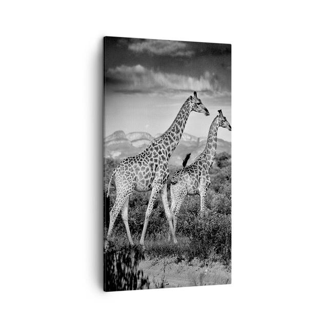 Leinwandbild Giraffes Black and White Ebern Designs Größe: 80 cm H x 45 cm B x 1,8 cm T on Productcaster.