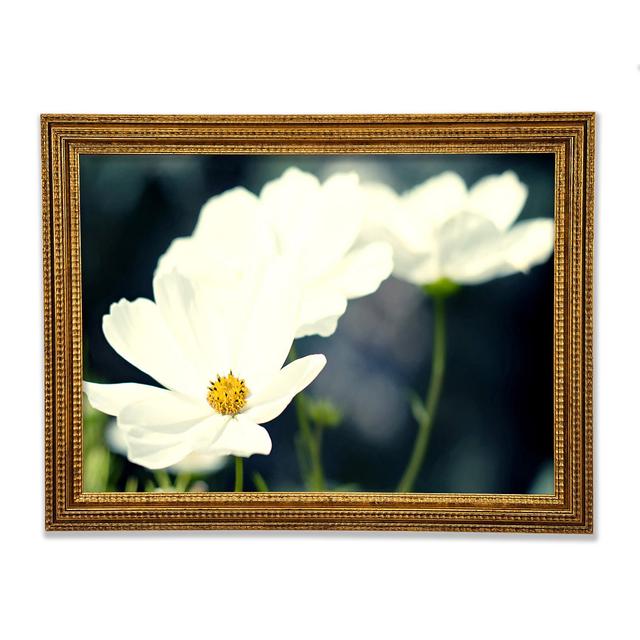 Single Picture Frame Art Prints Ebern Designs Size: 42.1cm H x 59.7cm W on Productcaster.