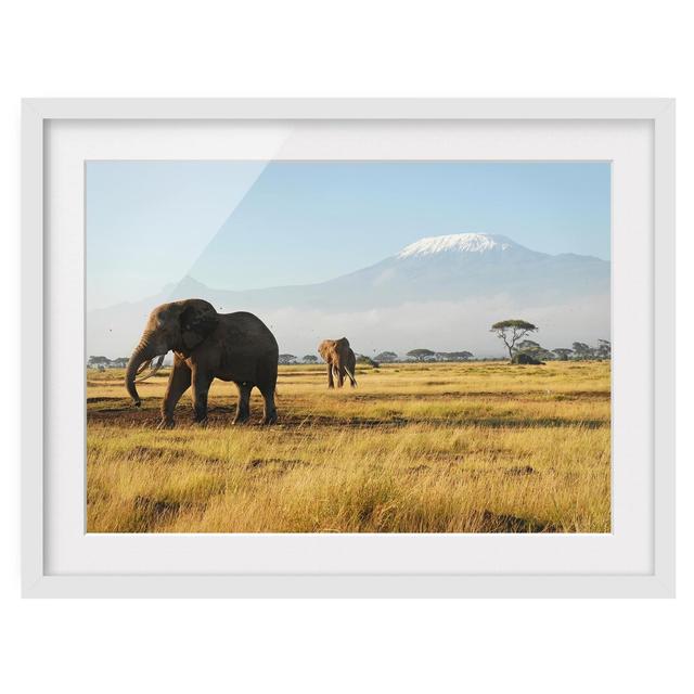 Elephants in front of Kilimanjaro in Kenya Framed Photographic Art Print East Urban Home Frame Options: Matt white, Size: 40cm H x 55cm W on Productcaster.