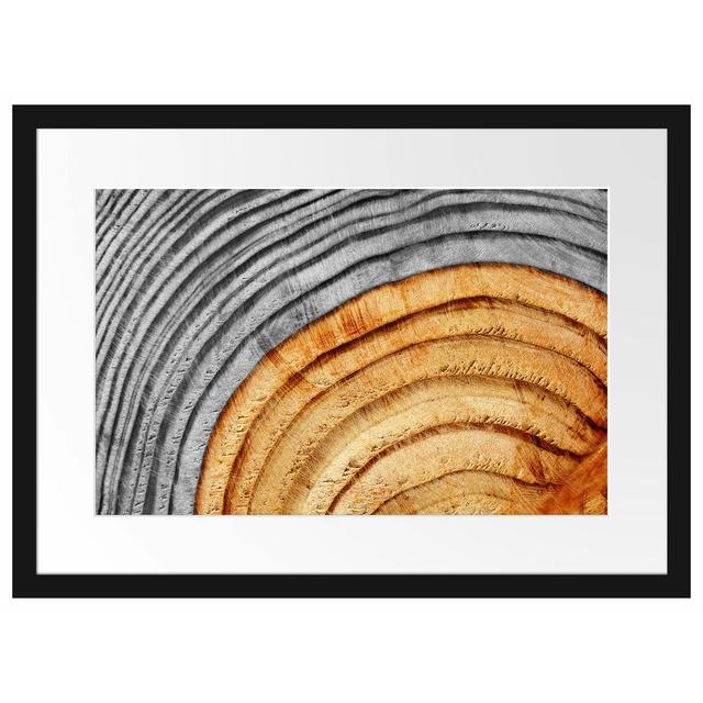 Gerahmter Fotodruck Tree Trunk Rings East Urban Home Größe: 40 cm H x 55 cm B x 2,5 cm T, Farbe: Braun/​Grau on Productcaster.