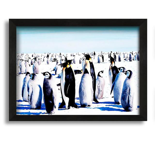 Penguin Meeting Place - Picture Frame Photograph on Canvas Latitude Run Size: 42cm H x 60cm W x 10cm D on Productcaster.